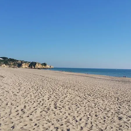Torralta *