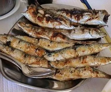 Torralta *
